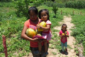 Capacitación en el proceso productivo de hortalizas y frutales